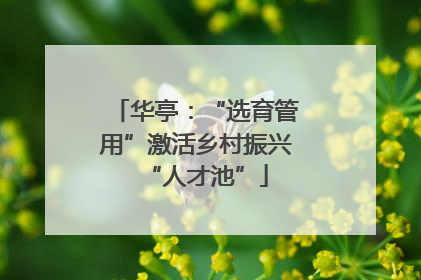 华亭：“选育管用”激活乡村振兴“人才池”