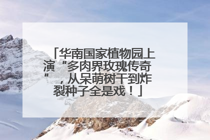 华南国家植物园上演“多肉界玫瑰传奇”，从呆萌树干到炸裂种子全是戏！