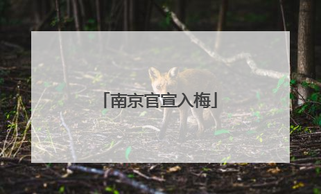 南京官宣入梅