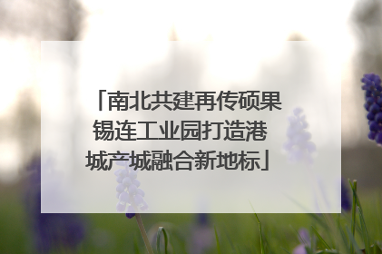 南北共建再传硕果 锡连工业园打造港城产城融合新地标