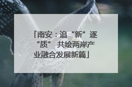 南安：追“新”逐“质” 共绘两岸产业融合发展新篇