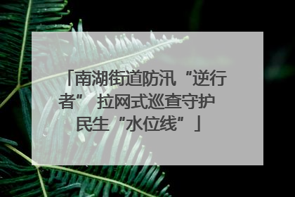 南湖街道防汛“逆行者” 拉网式巡查守护民生“水位线”