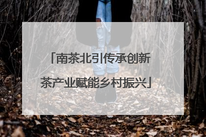 南茶北引传承创新 茶产业赋能乡村振兴
