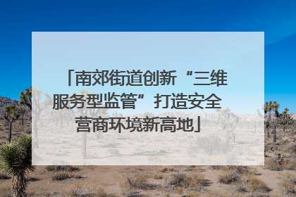 南郊街道创新“三维服务型监管”打造安全营商环境新高地