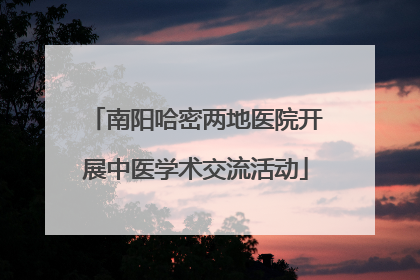 南阳哈密两地医院开展中医学术交流活动
