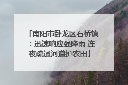 南阳市卧龙区石桥镇：迅速响应强降雨 连夜疏通河道护农田