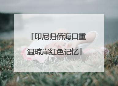 印尼归侨海口重温琼崖红色记忆