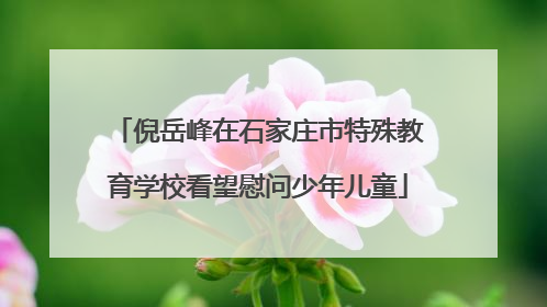 倪岳峰在石家庄市特殊教育学校看望慰问少年儿童