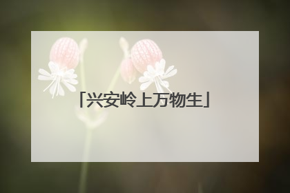 兴安岭上万物生