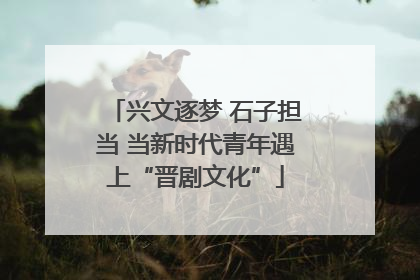 兴文逐梦 石子担当 当新时代青年遇上“晋剧文化”