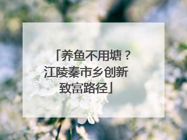 养鱼不用塘？江陵秦市乡创新致富路径