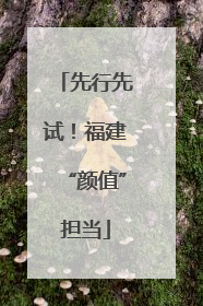 先行先试！福建“颜值”担当