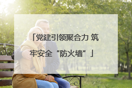 党建引领聚合力 筑牢安全“防火墙”