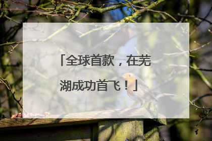 全球首款，在芜湖成功首飞！