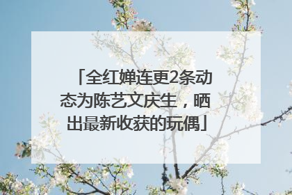 全红婵连更2条动态为陈艺文庆生，晒出最新收获的玩偶