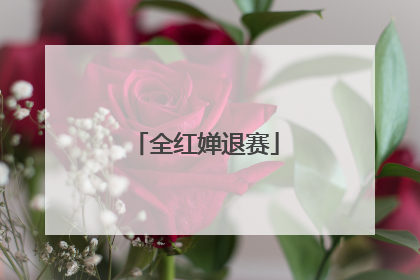 全红婵退赛