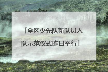 全区少先队新队员入队示范仪式昨日举行