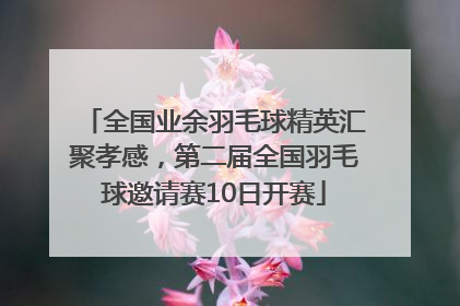 全国业余羽毛球精英汇聚孝感，第二届全国羽毛球邀请赛10日开赛