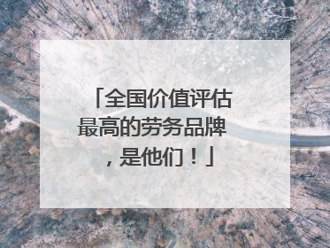 全国价值评估最高的劳务品牌，是他们！