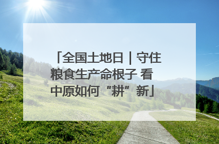 全国土地日｜守住粮食生产命根子 看中原如何“耕”新
