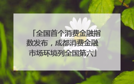 全国首个消费金融指数发布，成都消费金融市场环境列全国第六
