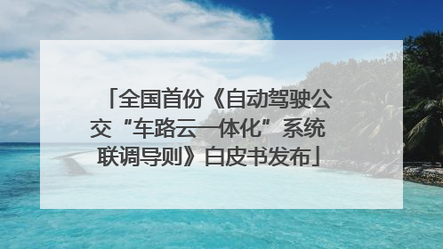 全国首份《自动驾驶公交“车路云一体化”系统联调导则》白皮书发布