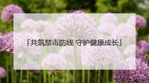 共筑禁毒防线 守护健康成长