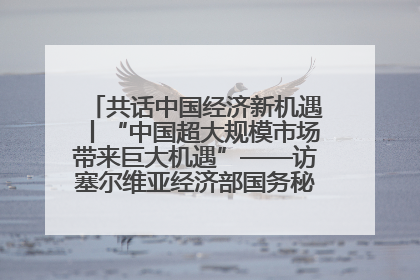 共话中国经济新机遇丨“中国超大规模市场带来巨大机遇”——访塞尔维亚经济部国务秘书尼科利奇
