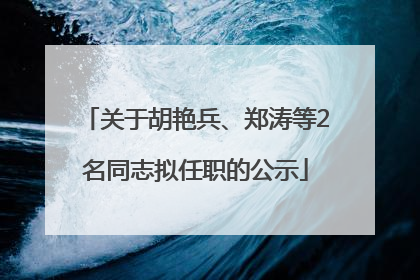 关于胡艳兵、郑涛等2名同志拟任职的公示