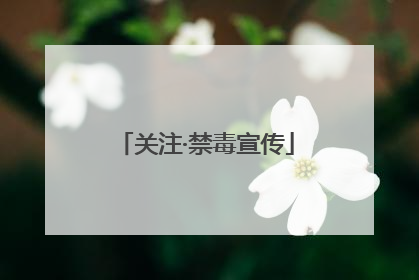 关注·禁毒宣传