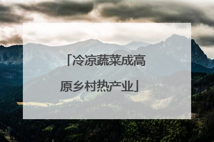 冷凉蔬菜成高原乡村热产业