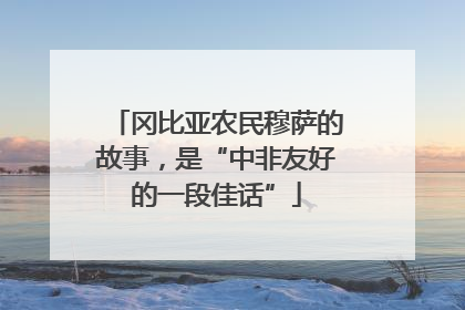 冈比亚农民穆萨的故事，是“中非友好的一段佳话”