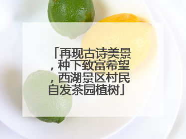 再现古诗美景，种下致富希望，西湖景区村民自发茶园植树