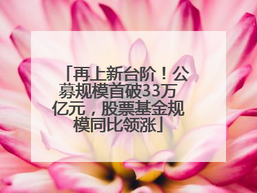 再上新台阶！公募规模首破33万亿元，股票基金规模同比领涨