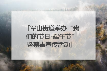 军山街道举办“我们的节日-端午节”暨禁毒宣传活动