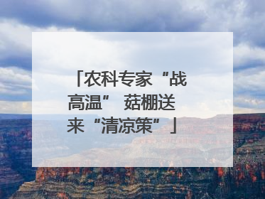 农科专家“战高温” 菇棚送来“清凉策”
