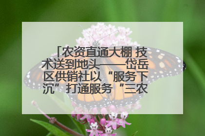 农资直通大棚 技术送到地头——岱岳区供销社以“服务下沉”打通服务“三农”最后一公里