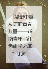 凝聚中越友谊的青春力量——越南青年“红色研学之旅”见闻