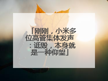 刚刚，小米多位高管集体发声：诋毁，本身就是一种仰望