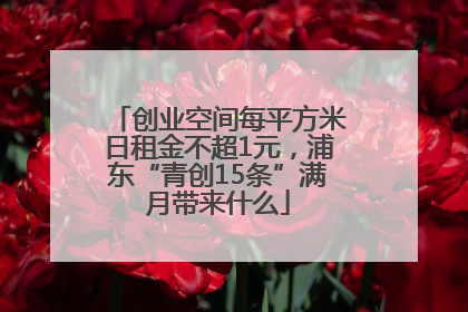 创业空间每平方米日租金不超1元，浦东“青创15条”满月带来什么