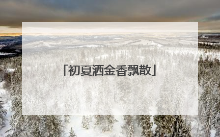 初夏洒金香飘散