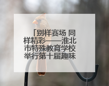 别样赛场 同样精彩——淮北市特殊教育学校举行第十届趣味运动会