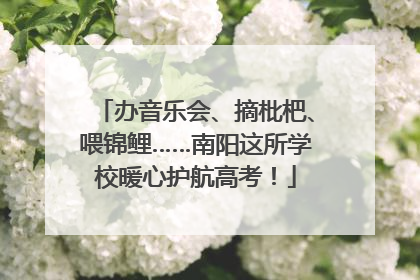 办音乐会、摘枇杷、喂锦鲤……南阳这所学校暖心护航高考！