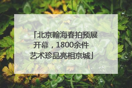 北京翰海春拍预展开幕，1800余件艺术珍品亮相京城