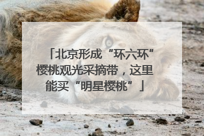 北京形成“环六环”樱桃观光采摘带，这里能买“明星樱桃”