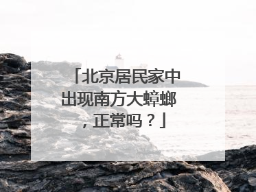 北京居民家中出现南方大蟑螂，正常吗？