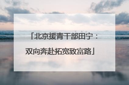 北京援青干部田宁：双向奔赴拓宽致富路