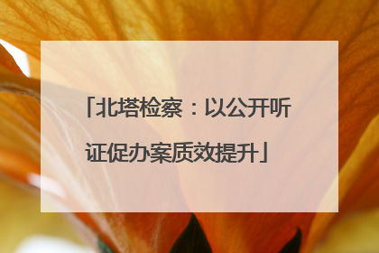 北塔检察：以公开听证促办案质效提升