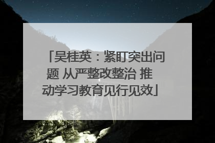 吴桂英：紧盯突出问题 从严整改整治 推动学习教育见行见效