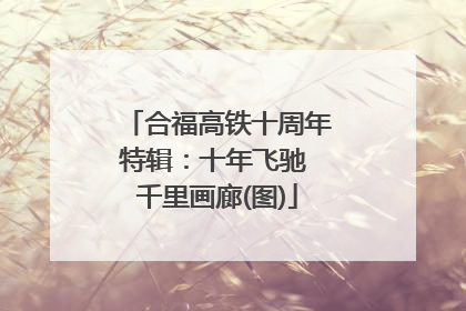 合福高铁十周年特辑：十年飞驰 千里画廊(图)